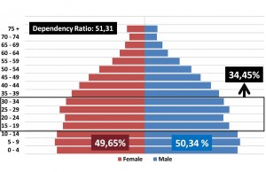 Grafik Bonus Demografi