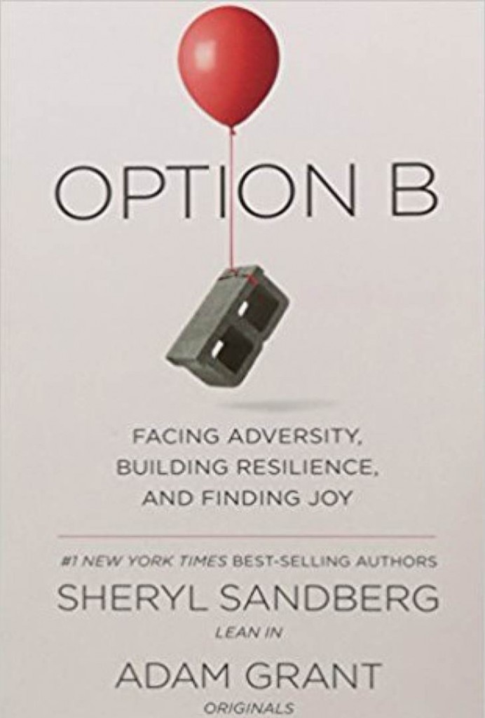 Option B - Book Cover New